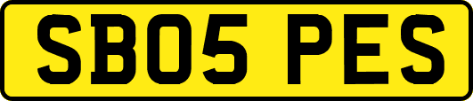 SB05PES