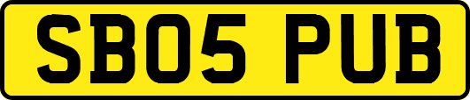 SB05PUB