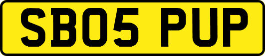 SB05PUP