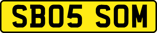 SB05SOM
