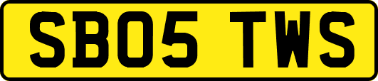SB05TWS
