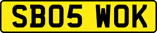 SB05WOK