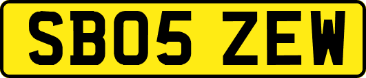 SB05ZEW