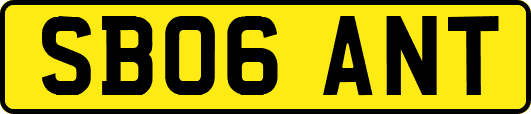 SB06ANT