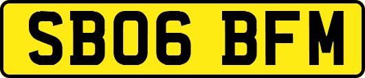 SB06BFM