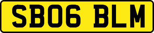 SB06BLM