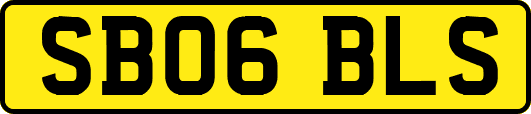 SB06BLS