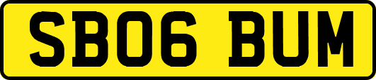 SB06BUM