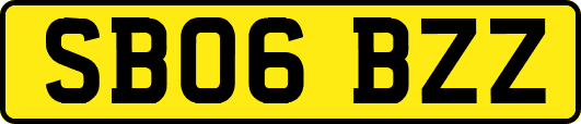 SB06BZZ