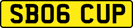SB06CUP