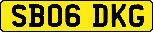 SB06DKG