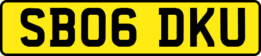 SB06DKU