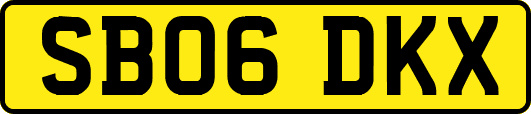 SB06DKX