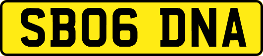 SB06DNA