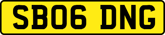 SB06DNG