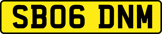 SB06DNM