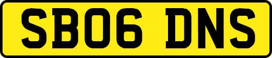 SB06DNS