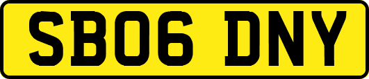SB06DNY