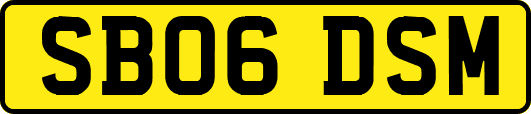 SB06DSM