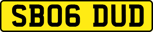 SB06DUD