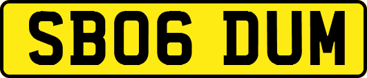 SB06DUM