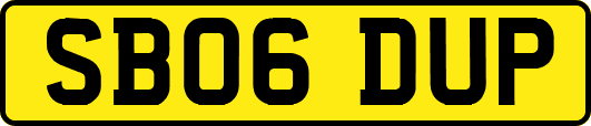 SB06DUP
