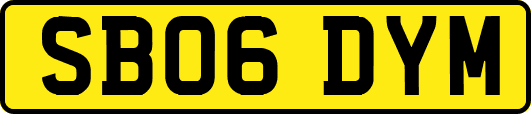 SB06DYM