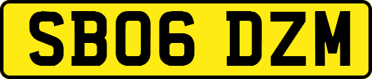 SB06DZM