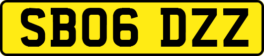 SB06DZZ