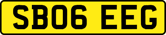 SB06EEG