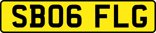 SB06FLG