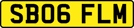 SB06FLM