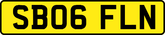 SB06FLN