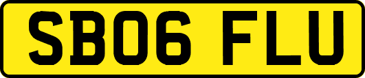 SB06FLU