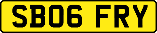 SB06FRY