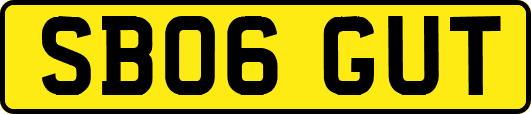 SB06GUT
