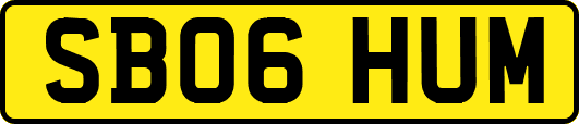 SB06HUM