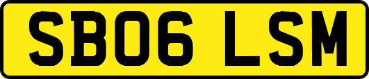 SB06LSM