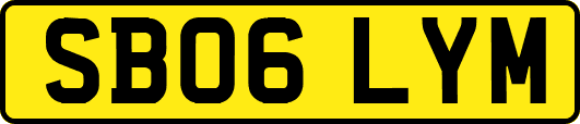 SB06LYM