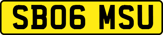 SB06MSU