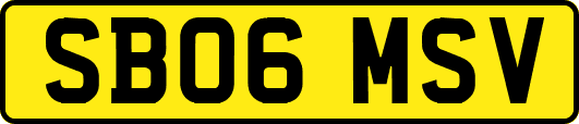 SB06MSV