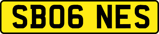 SB06NES