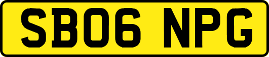 SB06NPG