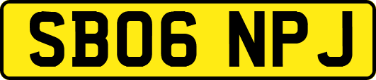 SB06NPJ