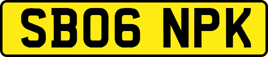 SB06NPK