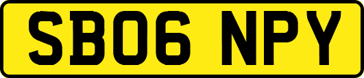 SB06NPY