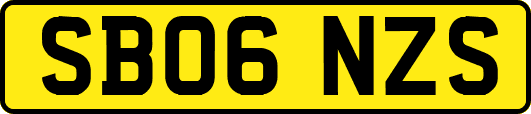 SB06NZS