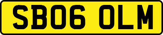 SB06OLM