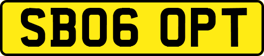 SB06OPT