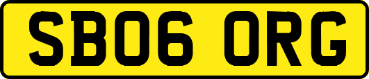 SB06ORG